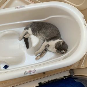 Meet your Posher, Jillian